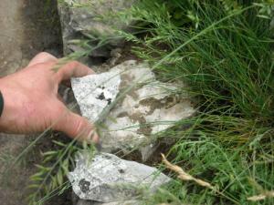 Pepa poroča iz Londona Dobila sem pozlačeno srebro11